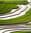 Sustainability