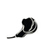 Pork chop icon