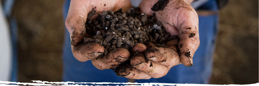 farmer with dirt in hands