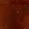 A vibrant close-up of the Mission Bbq Memphis Belle 15.5 Oz, showcasing its deep reddish-brown color and smooth, glossy texture with small bubbles