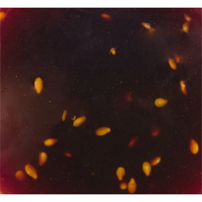 A close-up of a dark liquid with small yellow seeds floating in it.