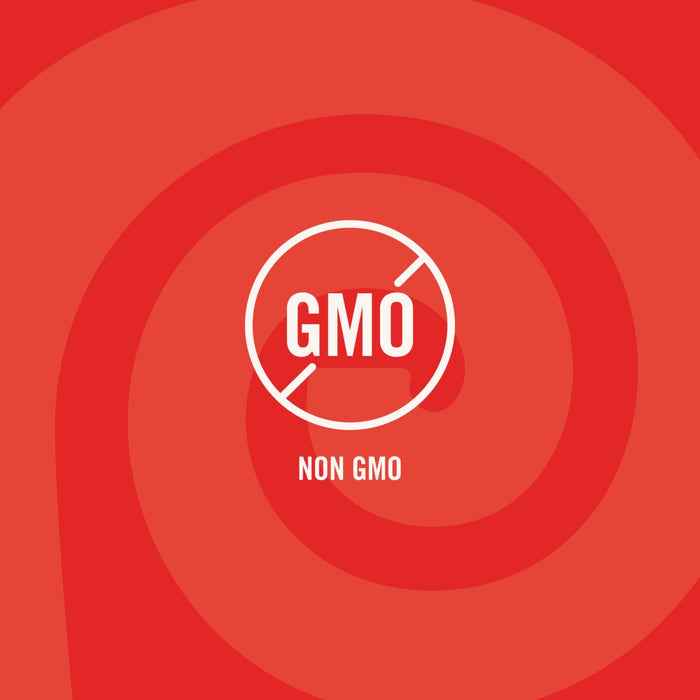 A Non-GMO icon on a red background, indicating a product attribute of Lawry'S Seasoning Salt &amp; Vinegar, 20 Oz.