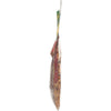A side view of a bag of trail mix.