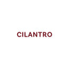 The word Cilantro is displayed in a burgundy font.