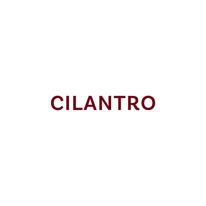 The word Cilantro is displayed in a burgundy font.