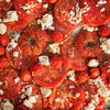 A close-up of a dish of roasted tomatoes with feta cheese and herbs.