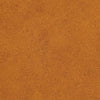 A close-up of a brown, grainy surface.