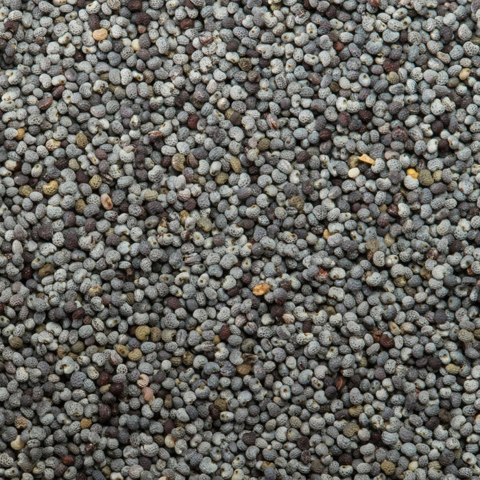 A close-up view of a dense collection of poppy seeds.