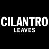 A logo for Cilantro Leaves.