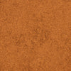 A close-up of a textured, reddish-brown surface resembling fine sand or soil.