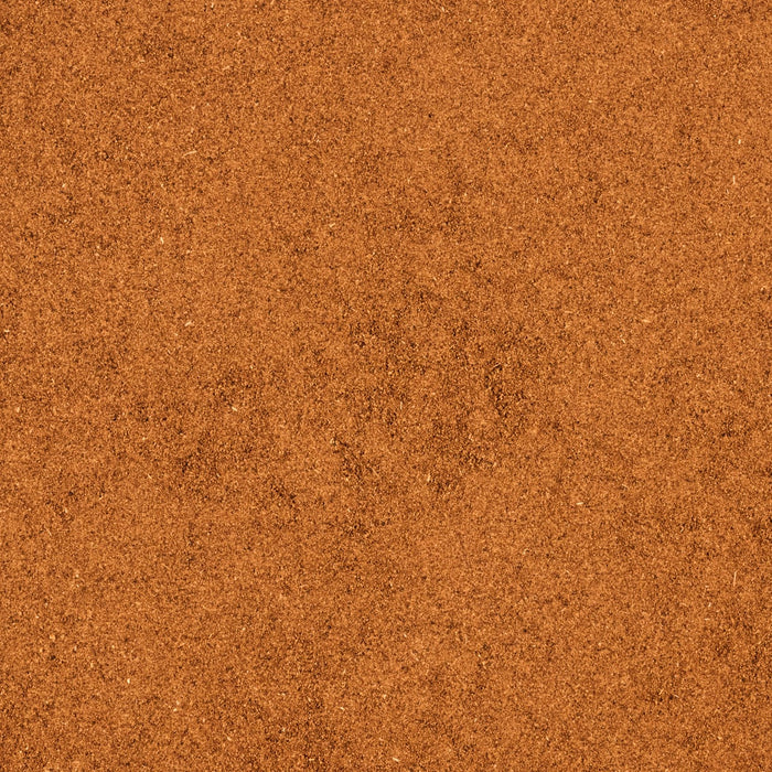 A close-up of a textured, reddish-brown surface resembling fine sand or soil.