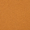 A textured, solid orange background.