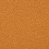 A textured, solid orange background.
