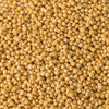 A close-up shows a pile of small, round, yellow mustard seeds.