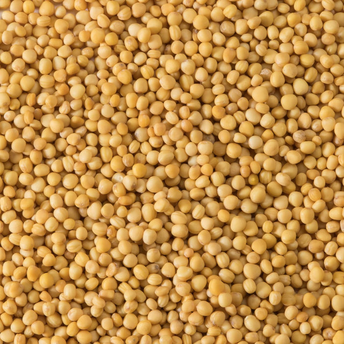 A close-up shows a pile of small, round, yellow mustard seeds.