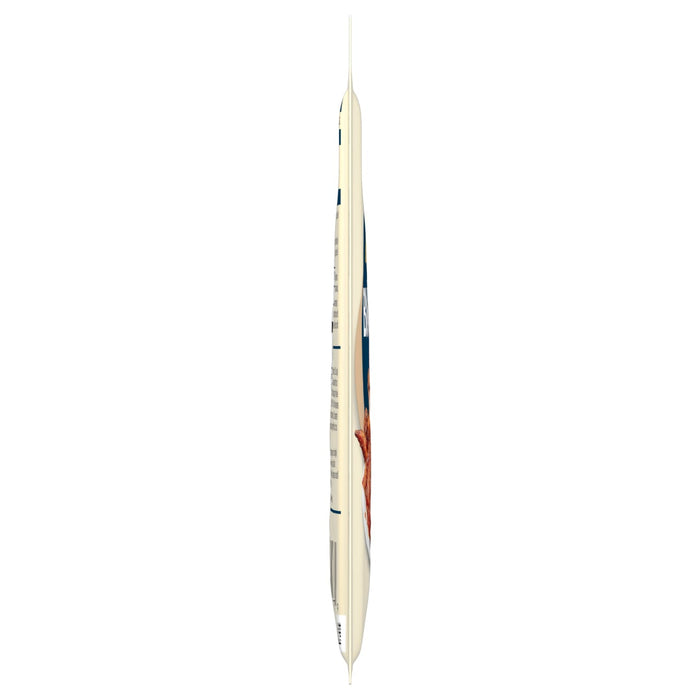 Illustration of a commercial airplane viewed from the side.