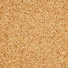 A close-up view of a pile of tan-colored sesame seeds.