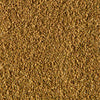 A close-up of a textured, golden-brown surface.