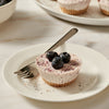 A mini blueberry cheesecake on a white plate is garnished with fresh blueberries and a sprinkle of Mccormick Blueberry And Lemon Finishing Sugar, 3.43 Oz.
