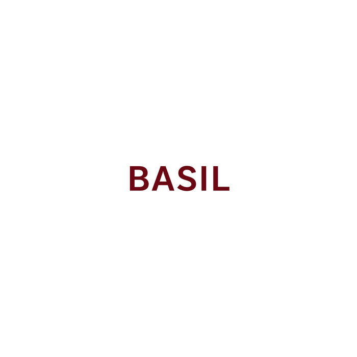 The word BASIL is displayed in a simple, sans-serif font.