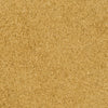 A close-up view of tan-colored sand.