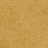 A close-up view of tan-colored sand.