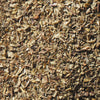 Close up of dried oregano.