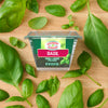 A container of Gourmet Garden Basil (Case Of 72) with chopped basil, lightly dried, is centered on a wooden surface, surrounded by fresh green basil leaves.