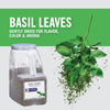 A container of McCormick Culinary Basil Leaves with fresh basil leaves falling from the top.