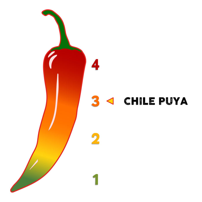 A cartoon illustration of a chile puya pepper with a scale of heat levels from 1 to 4.