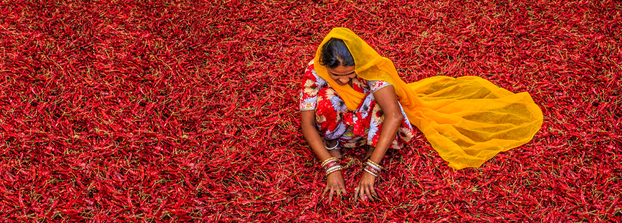 a farmer on a red pepper field