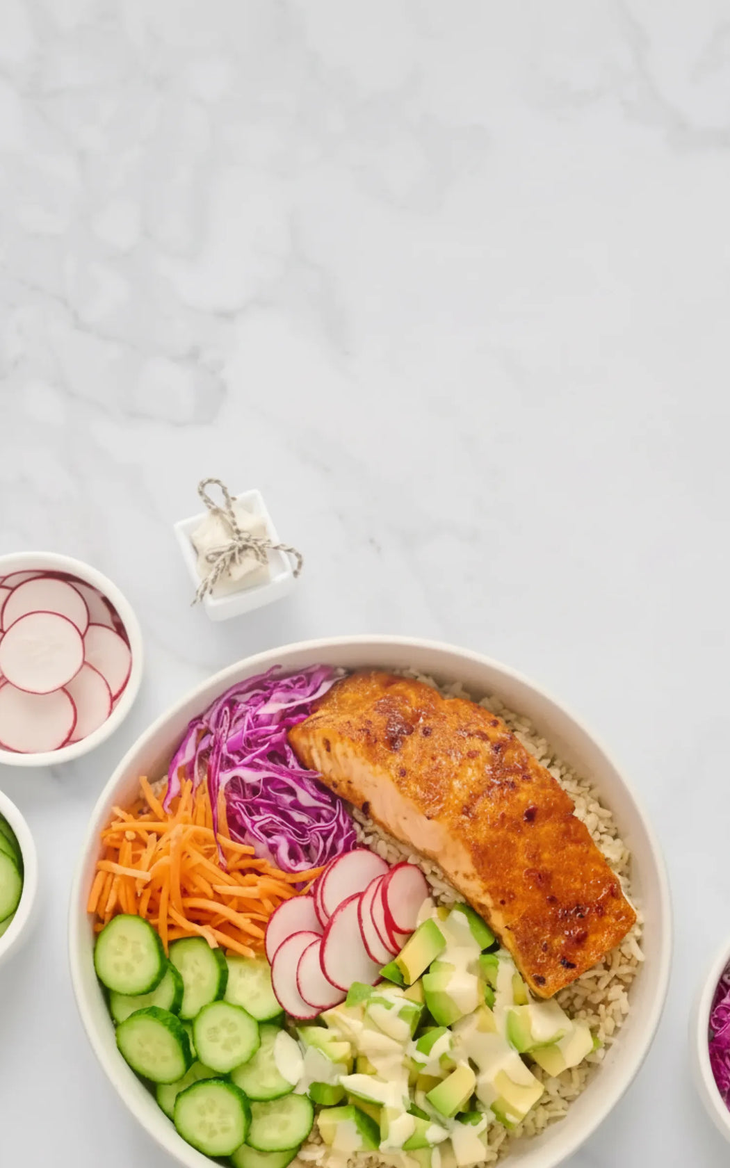 Salmon bowl with quinoa, vegetables, and a small container of radishes on a light gray background