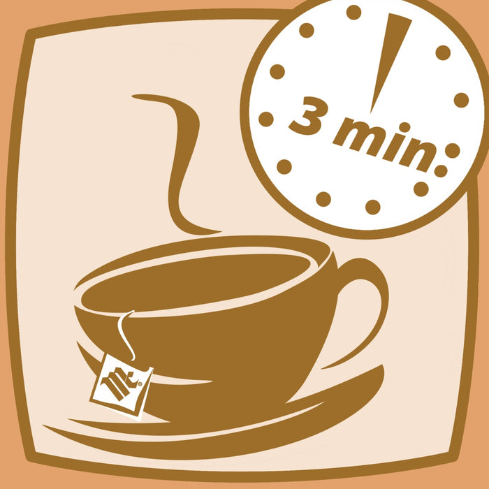 McCormick® Cinnamon Apple Tea 25 Count Box, 1.23 oz