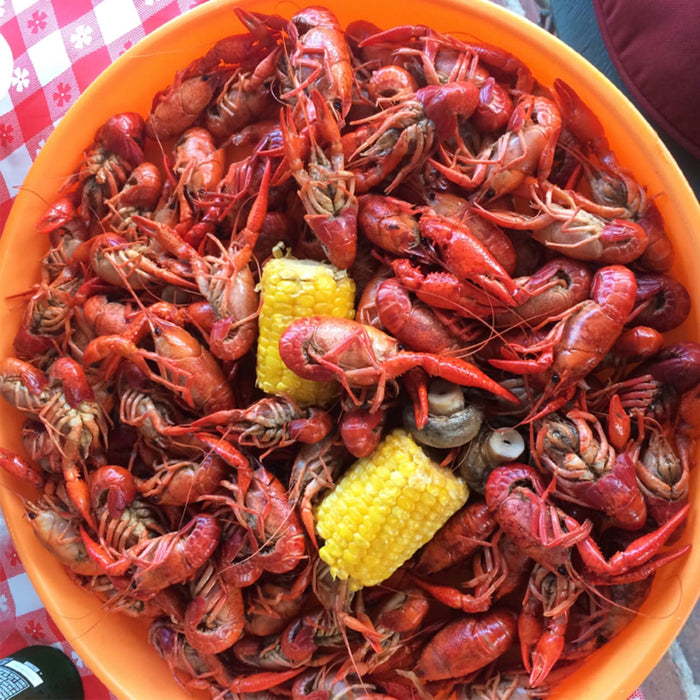 A bowl of crawfish with corn on the cob and mushrooms.