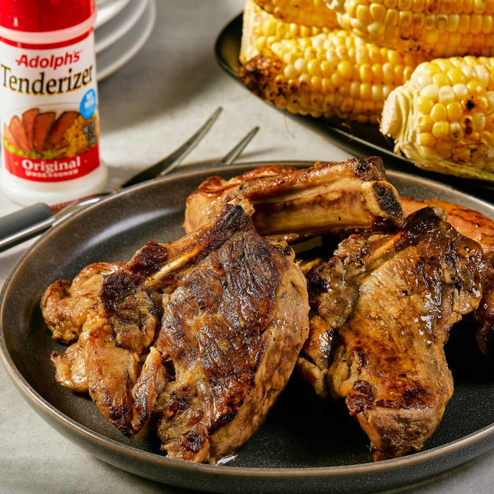Adolph's® Unseasoned Tenderizer, 3.5 oz
