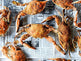 crabs