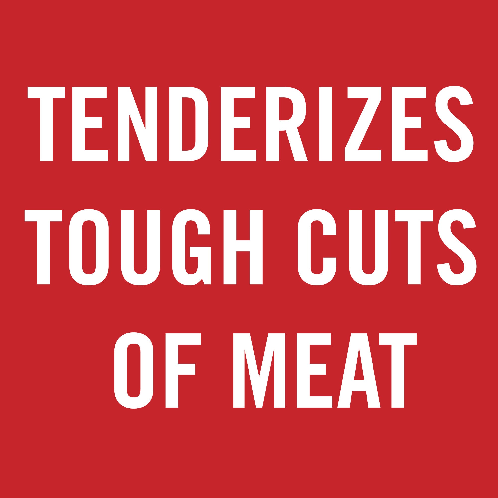 McCormick® Non-Seasoned Meat Tenderizer, oz - Main Image
