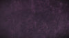 McCormick® Black Currant Finishing Sugar, 2.75 oz