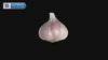 McCormick Culinary Granulated Garlic, 7.25 lb