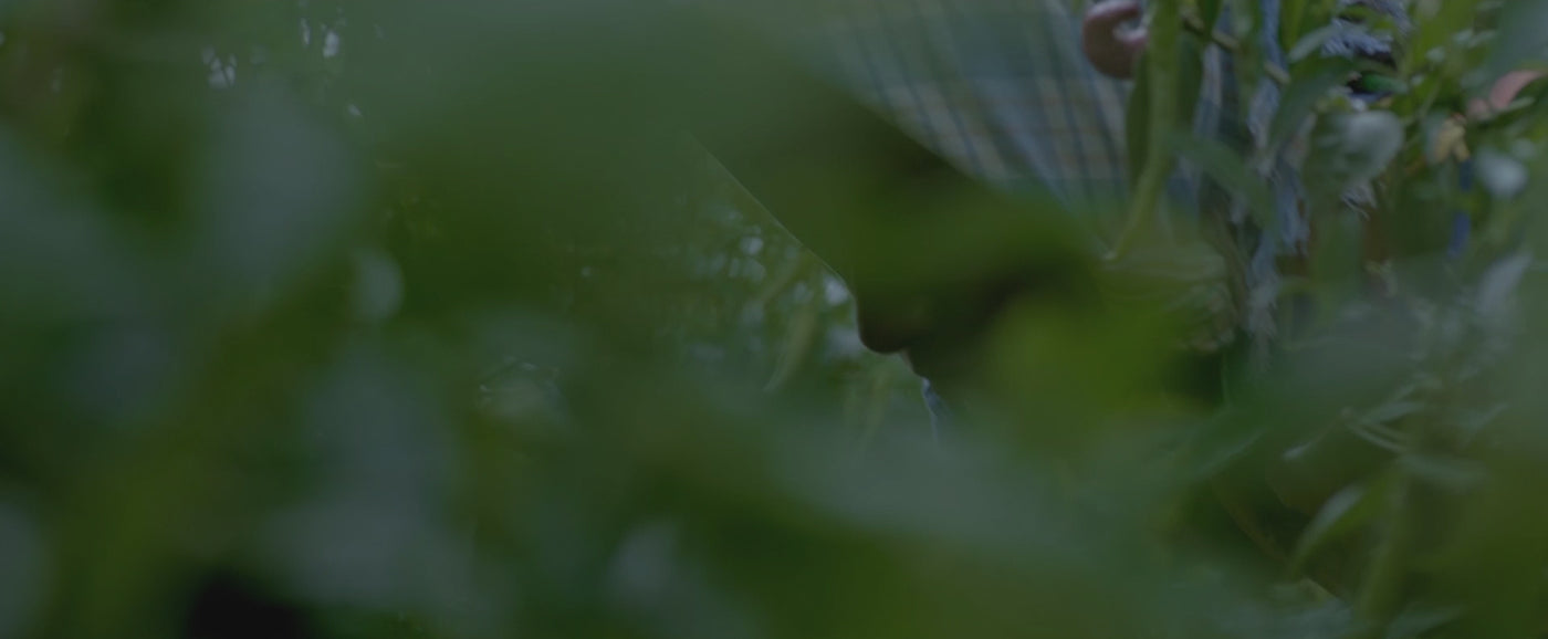 gourmet farming and sourcing video