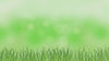 Gourmet Garden™ Lightly Dried Basil, 0.42 oz